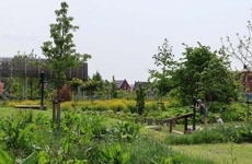 Fruit Tree Edible Neighbourhoods