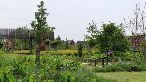 Fruit Tree Edible Neighbourhoods