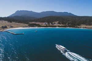 Eco-Friendly Tasmanian Ferries Article Thubnail