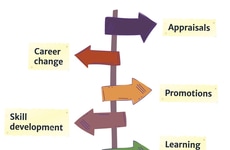 Career Intelligence Platforms