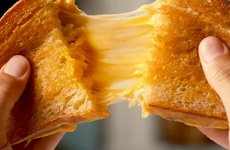 Reduced Sodium Vegan Cheeses