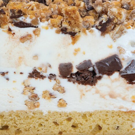 Holiday Ice Cream Cakes