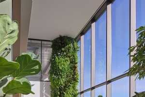 Biophilic Bank Interior Designs Article Thubnail
