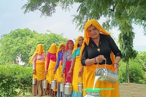 Rural Dairy Farm Initiatives