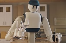 Autonomous Home Robots