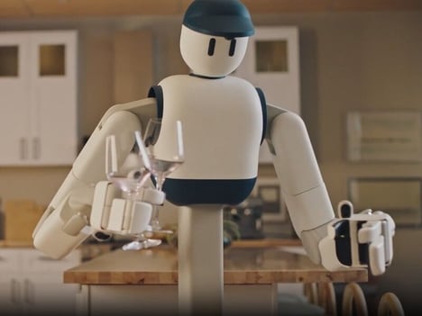 Autonomous Home Robots