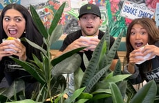 Social Media Follower-Celebrating Initiatives