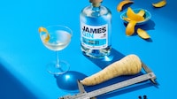 Consultancy Firm-Supported Gin Expansions Image 1