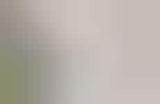 Compact Contemporary Coffee Interiors