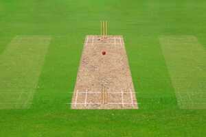 Artificial Cricket Surfaces Article Thubnail