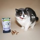 Plant-Powered Cat Treats Image 2