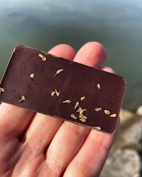 Herbaceous Tomato Chocolates Image 2