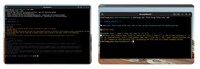 AI Terminal Assistants