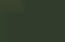 TV Personality-Supported Beverage Campaigns