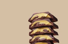 Fudgy Citrus Chocolates