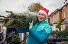 Delivery Service Christmas Trees