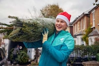 Delivery Service Christmas Trees Image 1