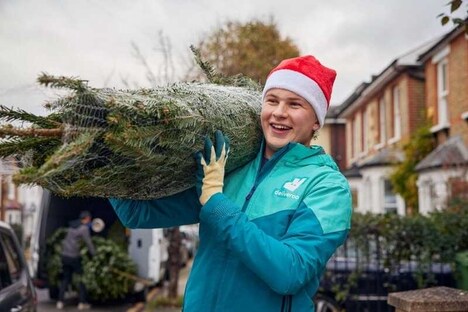 Delivery Service Christmas Trees