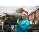 Delivery Service Christmas Trees Image 1