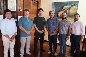 Sustainable Forest Conservation Efforts Article Thubnail