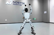 Consumer-Targeted Humanoids