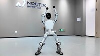 Consumer-Targeted Humanoids Image 1