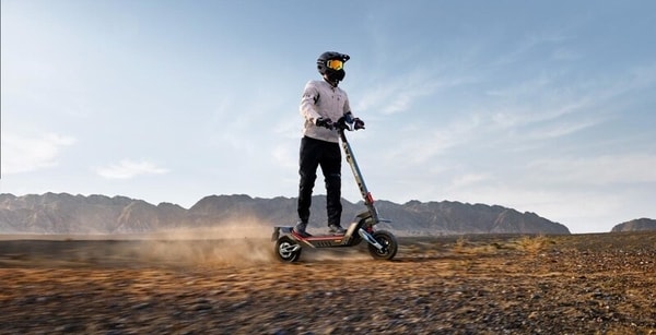 Top 30 Eco Trends in December