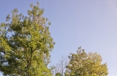 Ceramic Vault Structures