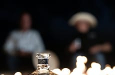 Athletics-Focused Official Whisky Partners