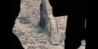 Iconic Footwear Tribute Films Image 1