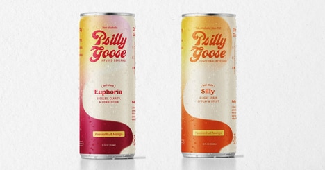 Mushroom-Infused Functional Refreshments