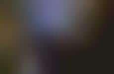 Accessibility-Focused Drone Light Shows