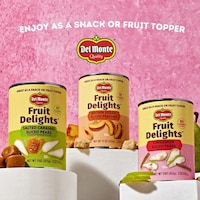 Seasoned Dessert Canned Fruit Image 1