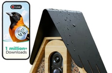 AI-Powered Bamboo Bird Feeders