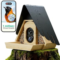 AI-Powered Bamboo Bird Feeders