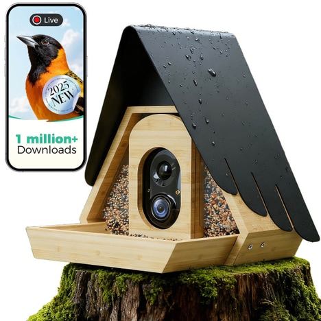 AI-Powered Bamboo Bird Feeders