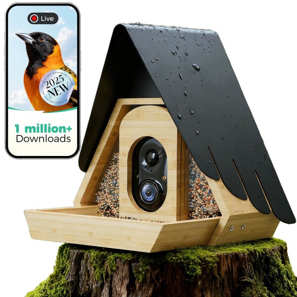AI-Powered Bamboo Bird Feeders