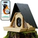 AI-Powered Bamboo Bird Feeders Image 1