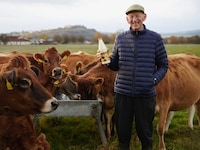 Seasonal Student-Made Dairy Campaigns Image 1