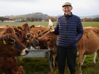 Seasonal Student-Made Dairy Campaigns