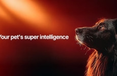 AI-Powered Pet Longevity Platforms