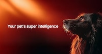 AI-Powered Pet Longevity Platforms Image 1
