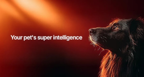AI-Powered Pet Longevity Platforms