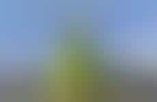 Eye-Catching Water Sculptures