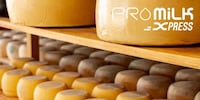 Speedy Cheese Maturation Proteins Image 1
