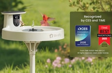 AI-Enhanced Bird Baths