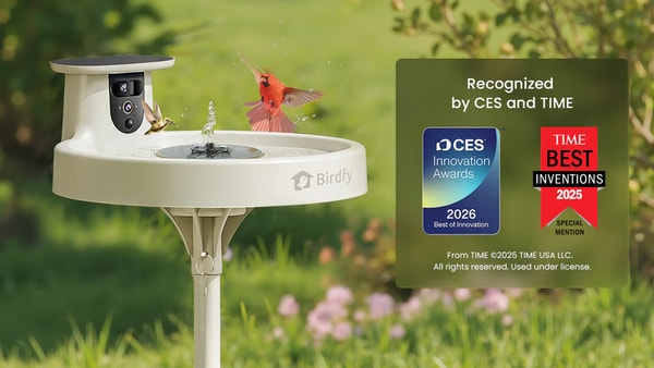 AI-Enhanced Bird Baths