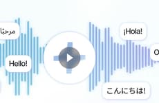 Global Voice Translation