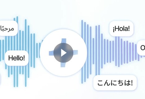 Global Voice Translation