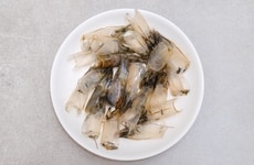 Seafood Waste Materials